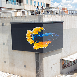 3d Screen